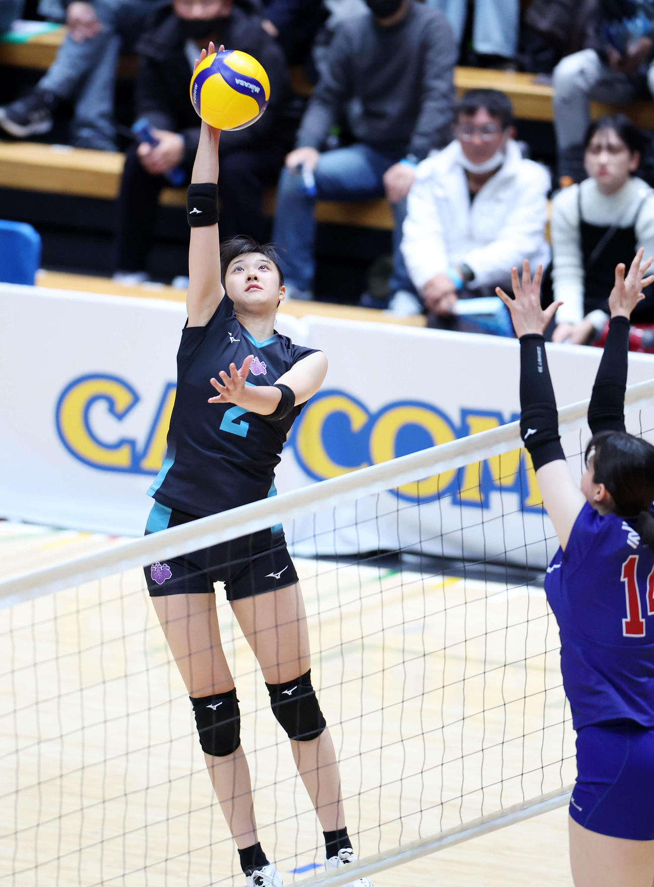 【バレー】筑波大4年ぶり9度目V「大学3冠」も達成“完全優勝”に佐藤淑乃「チームとして成長」 - バレーボール写真ニュース : 日刊スポーツ