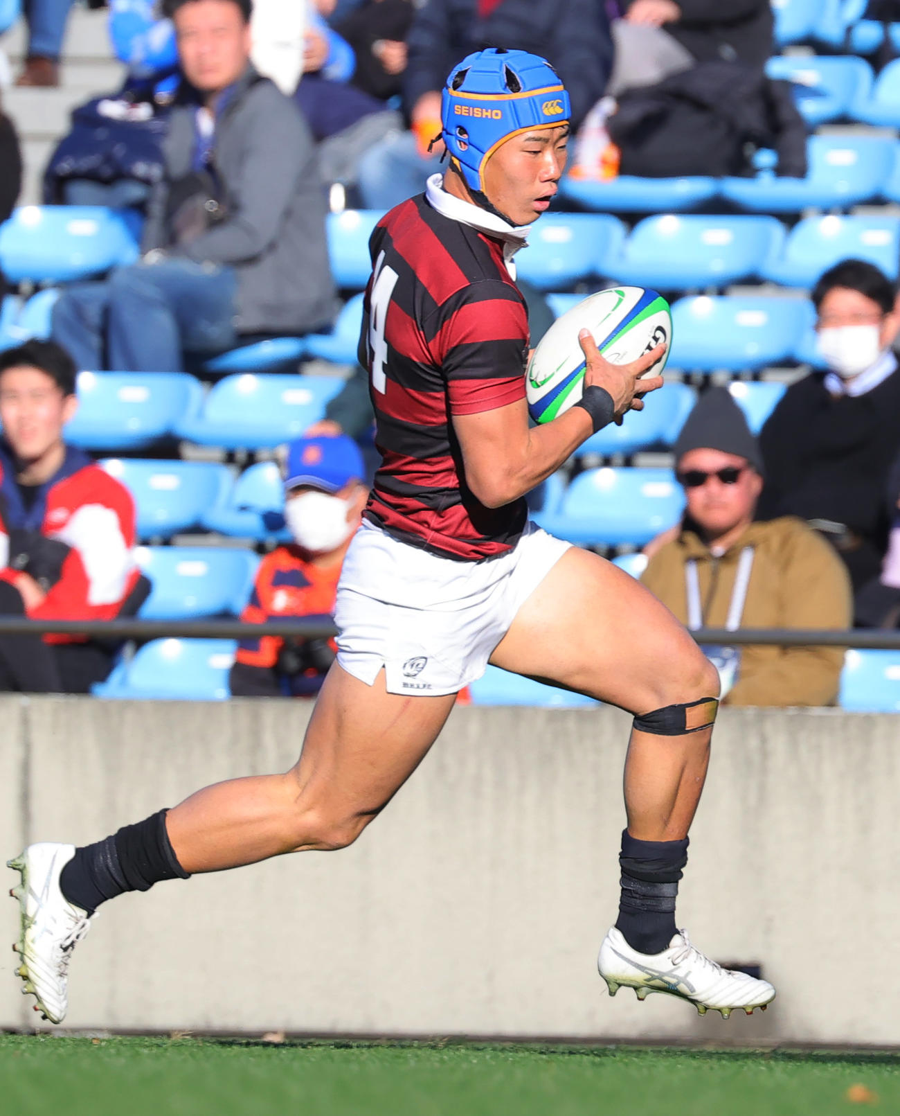 早大対法大　前半、自身2本目のトライを決める早大WTB矢崎（撮影・野上伸悟）