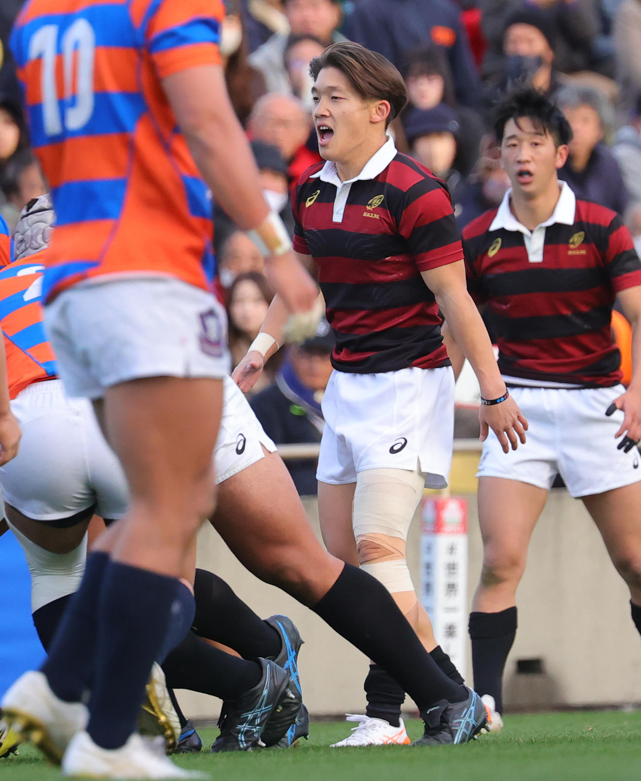 早大対法大　後半途中から出場した早大SH宮尾（撮影・野上伸悟）