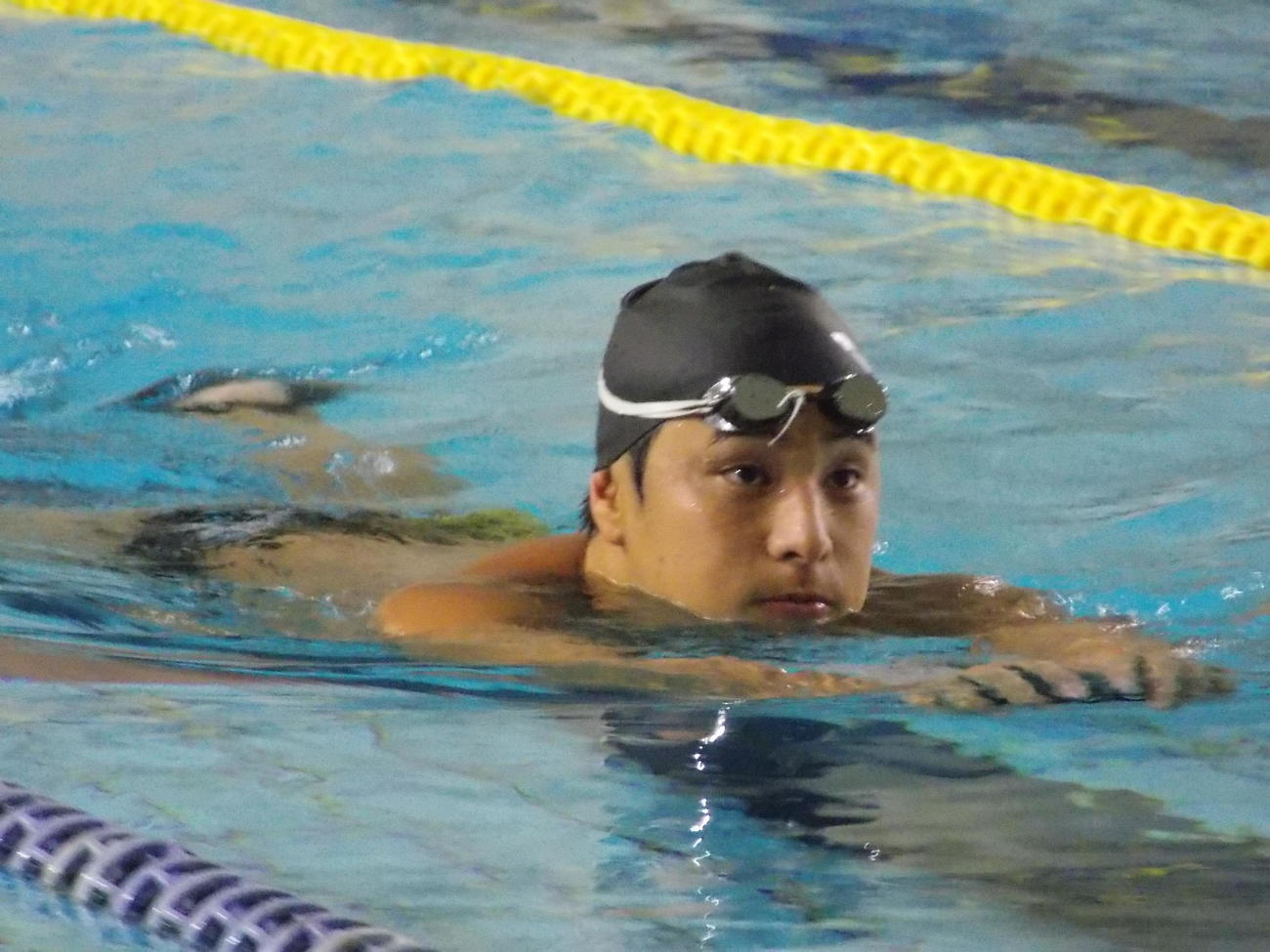 公開練習で泳ぐ瀬戸大也（撮影・松本航）