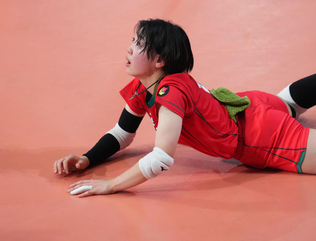 横浜隼人対福井工大福井　懸命にボールを拾う福井工大福井・杉本（撮影・横山健太）