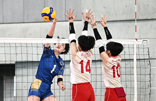 古川学園対金蘭会　スパイクを放つ金蘭会・西村（左）（撮影・滝沢徹郎）