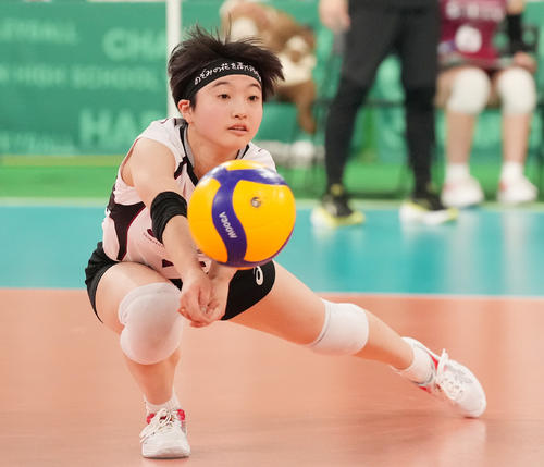旭川実対下北沢成徳　第3セット、レシーブする下北沢成徳・内沢（撮影・鈴木みどり）