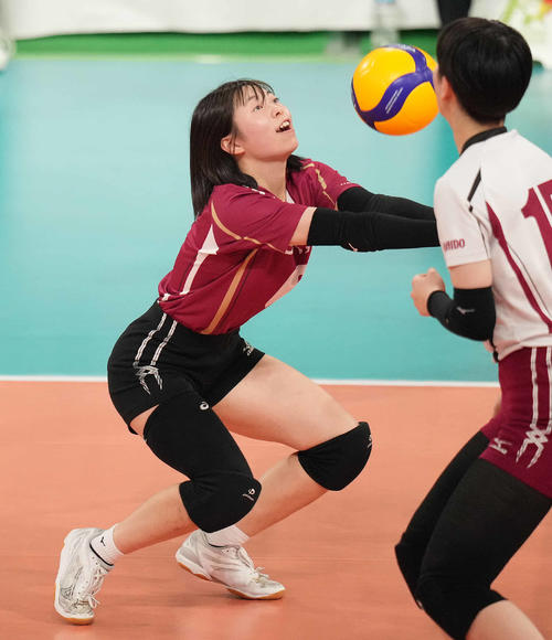 旭川実対下北沢成徳　第2セット、レシーブする旭川実・石崎（撮影・鈴木みどり）