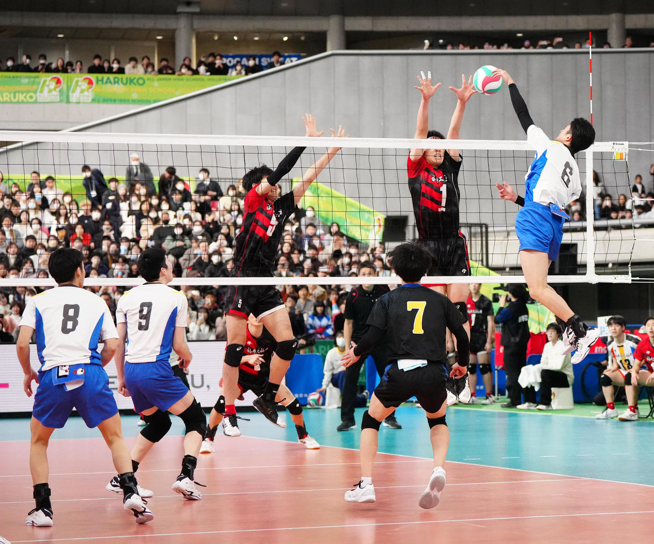 男子決勝　駿台学園対福井工大福井　第3セット、駿台学園・三宅雄（右端）のスパイクで優勝を決める（撮影・江口和貴）