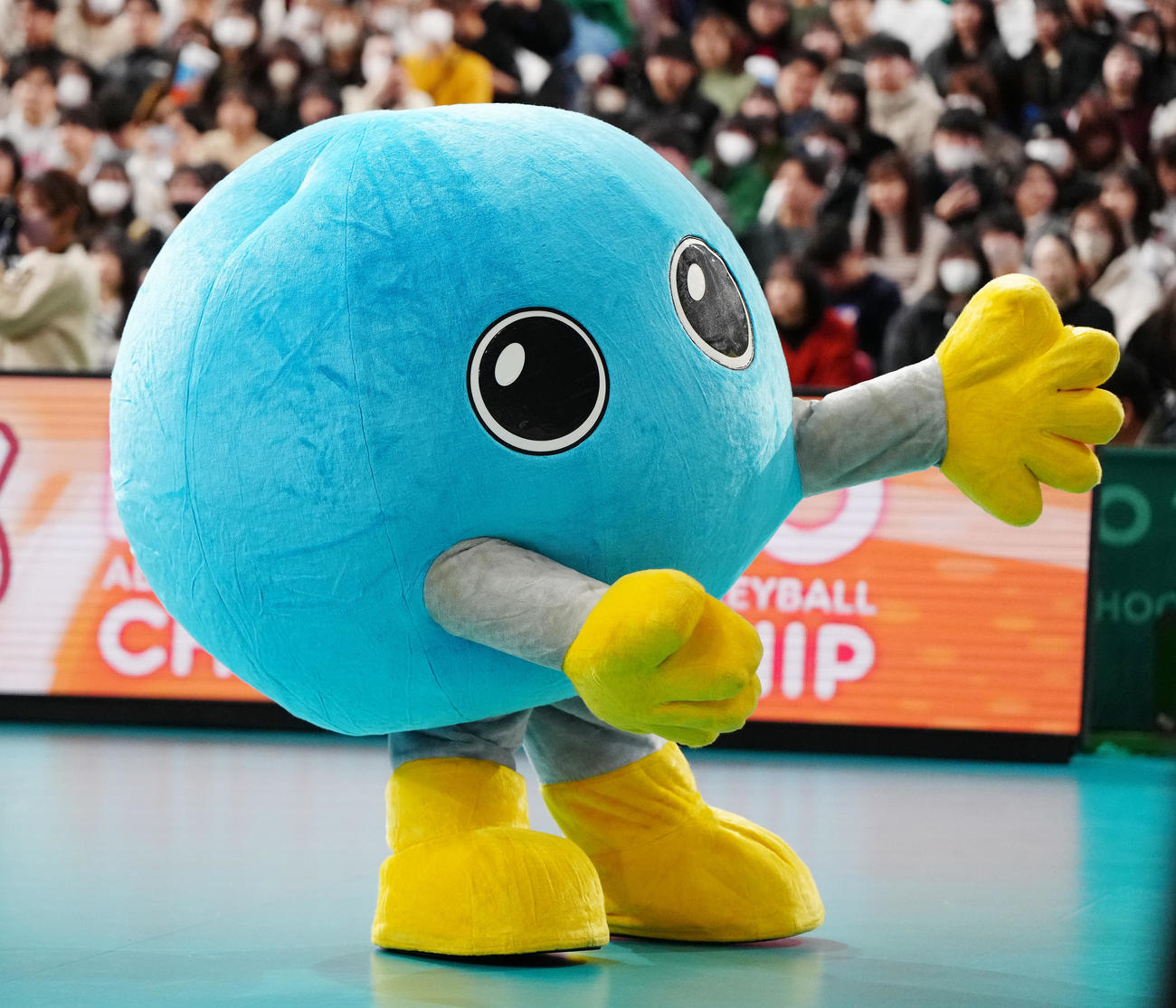 駿台学園対福井工大福井　会場を盛り上げるバボちゃん（撮影・江口和貴）