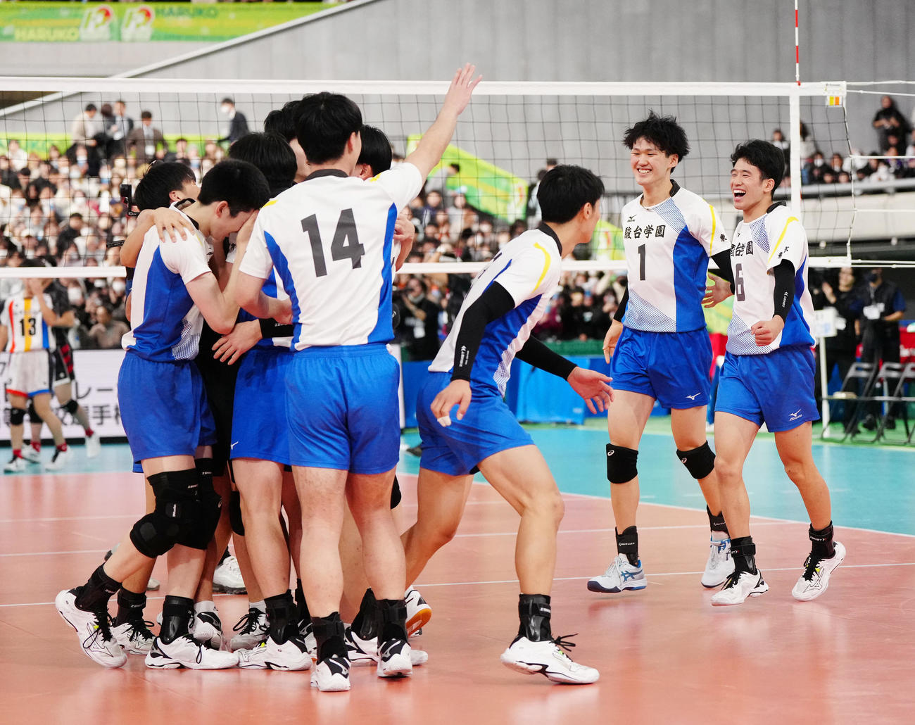 男子決勝　駿台学園対福井工大福井　優勝し喜ぶ三宅雄（右端）ら駿台学園の選手たち。右から2人目は秋本（撮影・江口和貴）