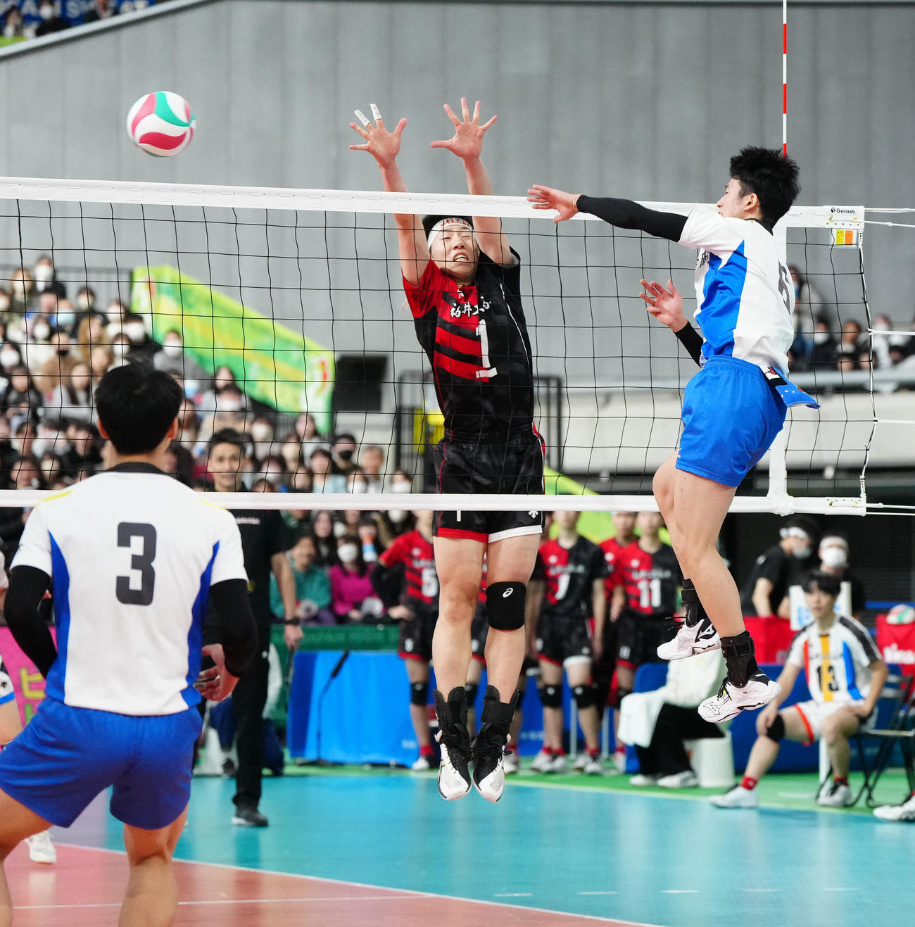 男子決勝　駿台学園対福井工大福井　第3セット、スパイクを決める駿台学園・三宅雄（右）。中央は福井工大福井・堤（撮影・江口和貴）
