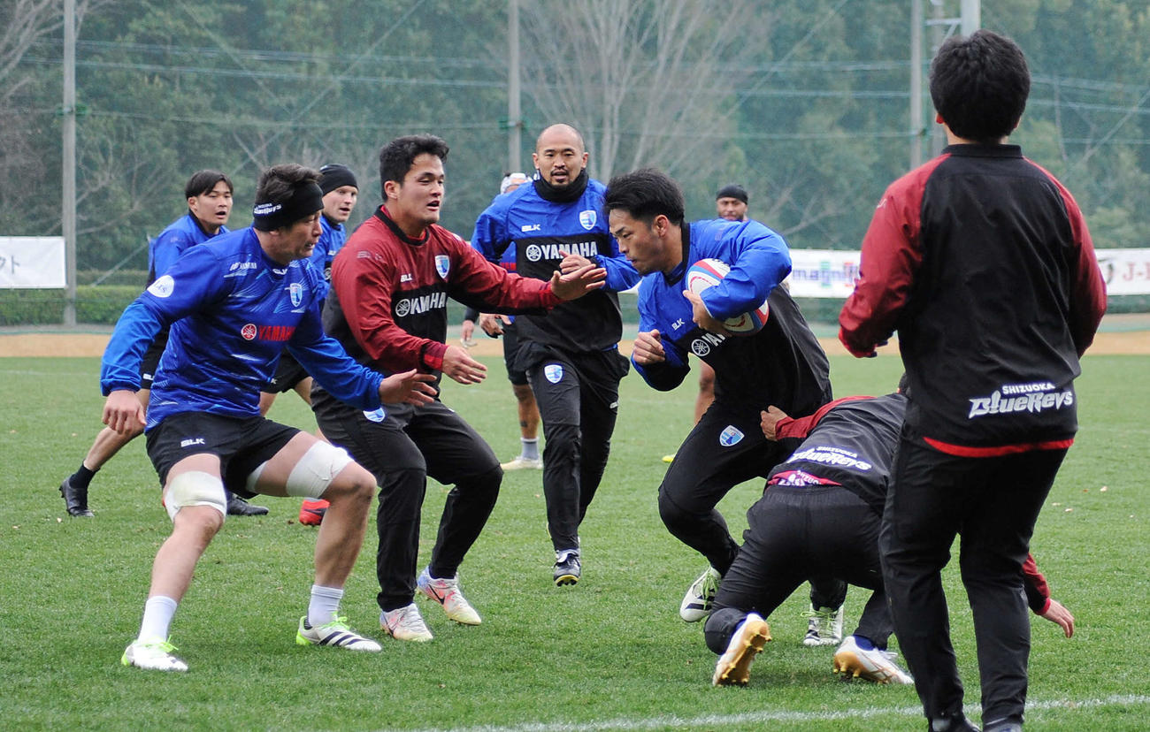 実戦練習する静岡ブルーレヴズの選手ら