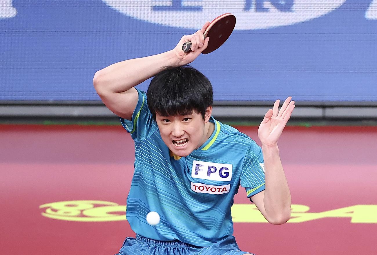 男子シングルス準決勝、フォアハンドドライブを放つ張本（撮影・河田真司）