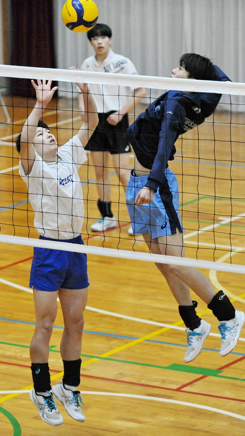 バレー】浜松修学舎、新チーム初のタイトルへ静清と決勝戦 セッター