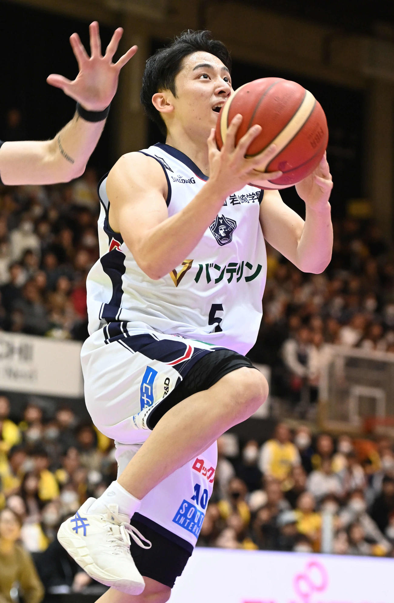 河村勇輝（2023年11月11日撮影）