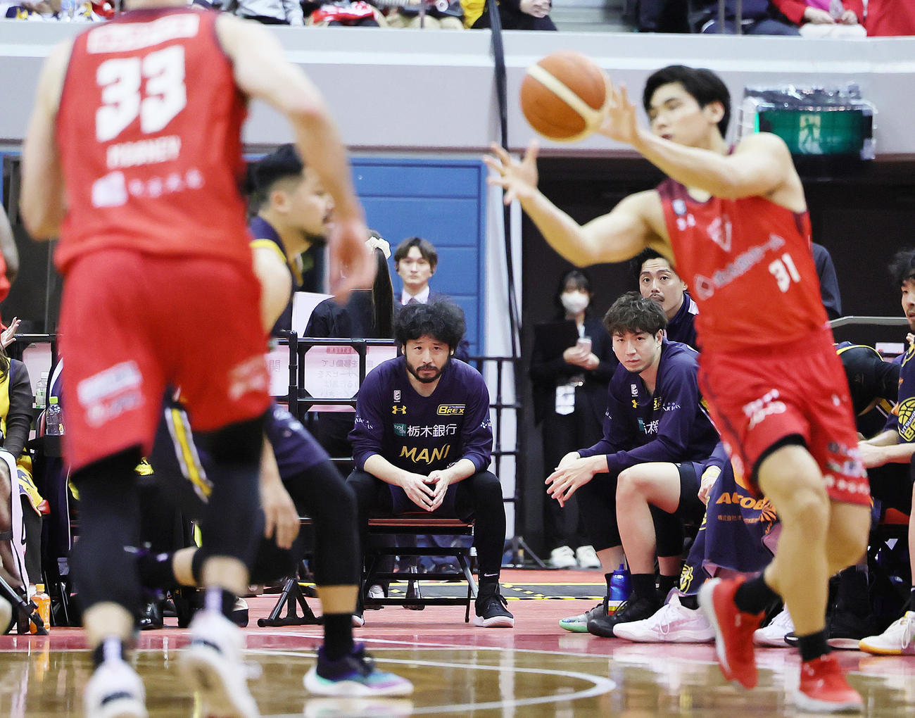 千葉対宇都宮　ベンチで試合を見つめる宇都宮の田臥（左）と比江島（撮影・足立雅史）
