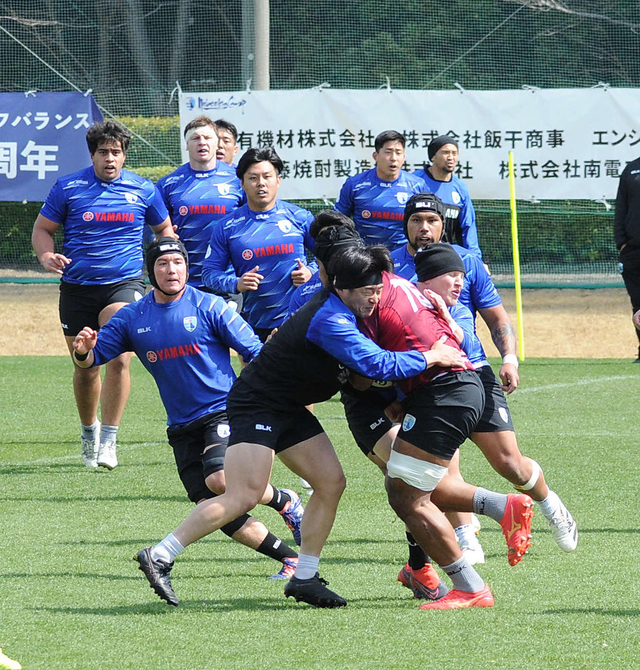 実戦練習で相手ボールキャリーを止める静岡ブルーレヴズの家村（手前左）