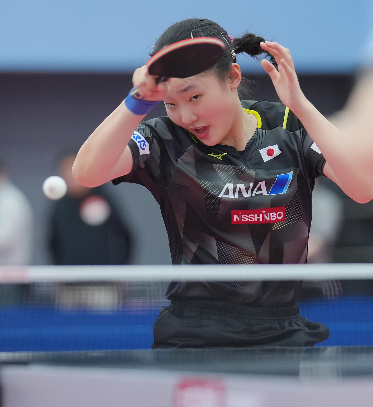 張本美和