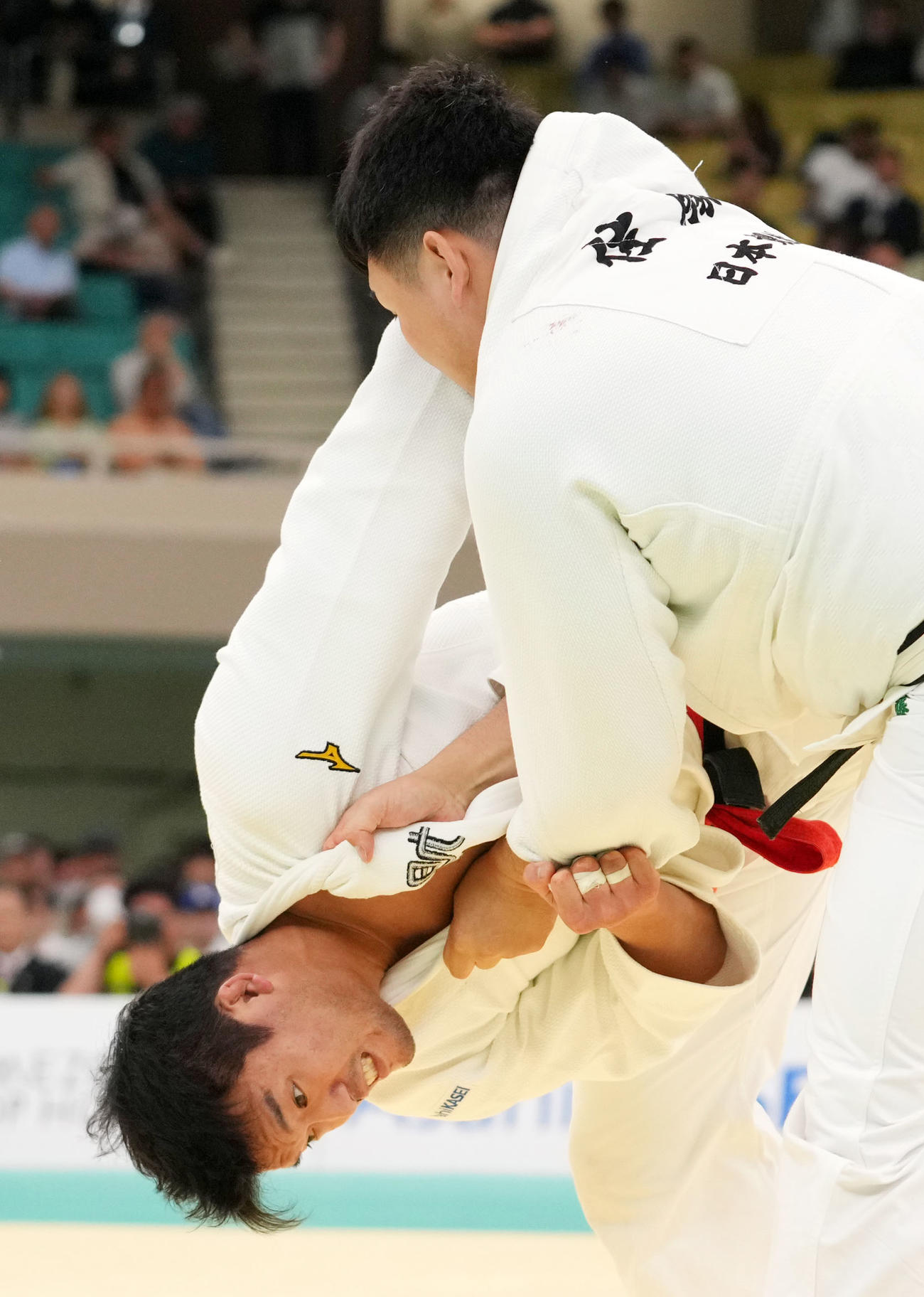 組み合う羽賀（左）と佐藤和（撮影・横山健太）