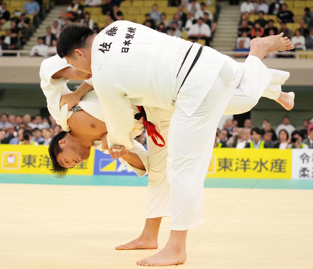 組み合う羽賀（左）と佐藤和（撮影・横山健太）