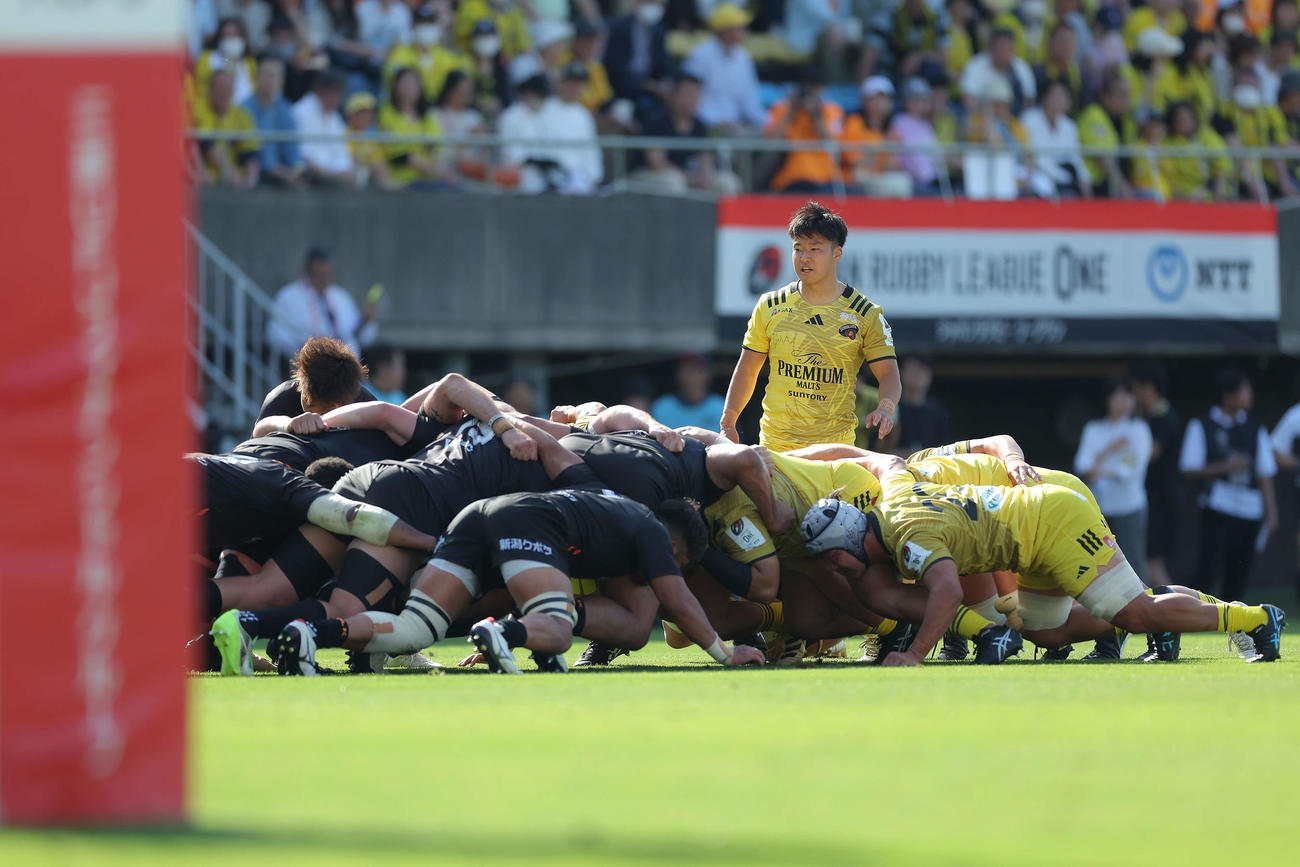 東京SG対東京ベイ　東京SG対東京ベイ　後半、スクラムを組む両チーム（撮影・河田真司）