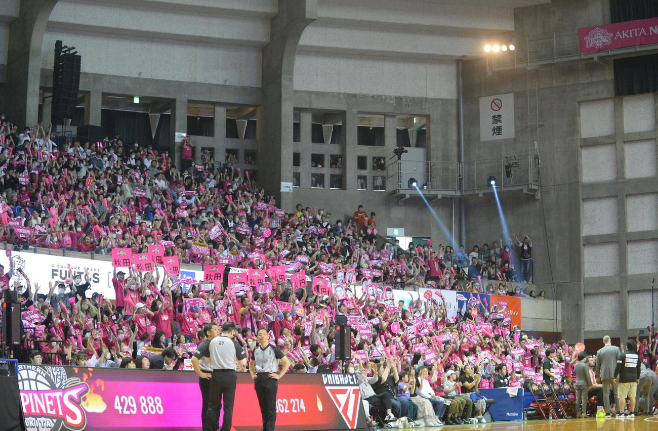 秋田対千葉　アリーナをクレイジーピンクに染める秋田ブースター（撮影・濱本神威）