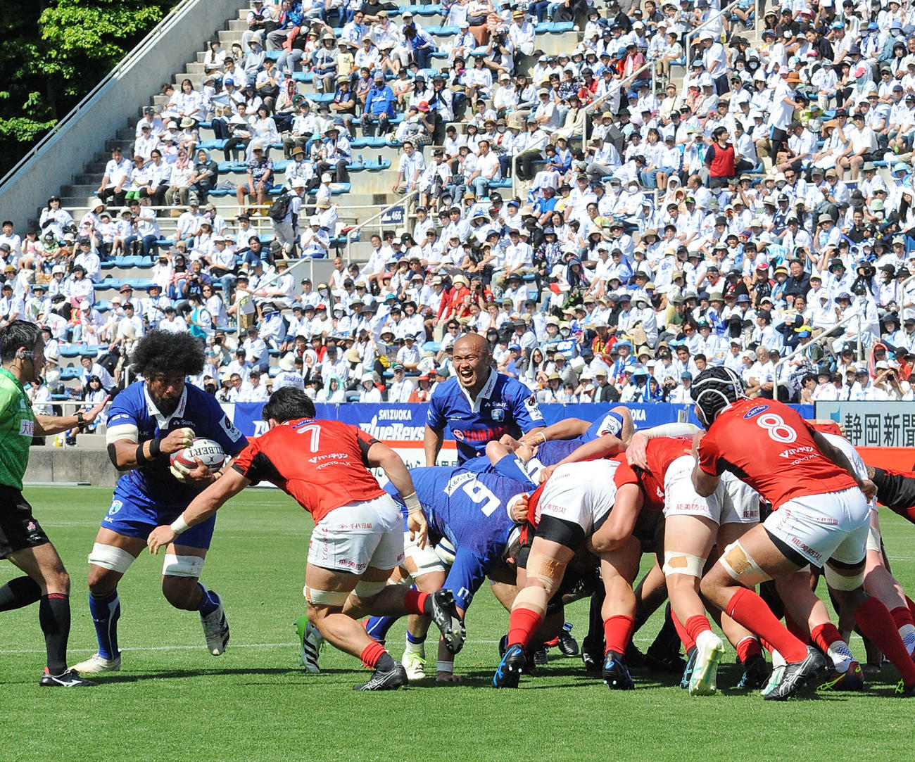 スクラムからパスを出し、叫ぶ静岡ブルーレヴズ・矢富勇（中央奥）