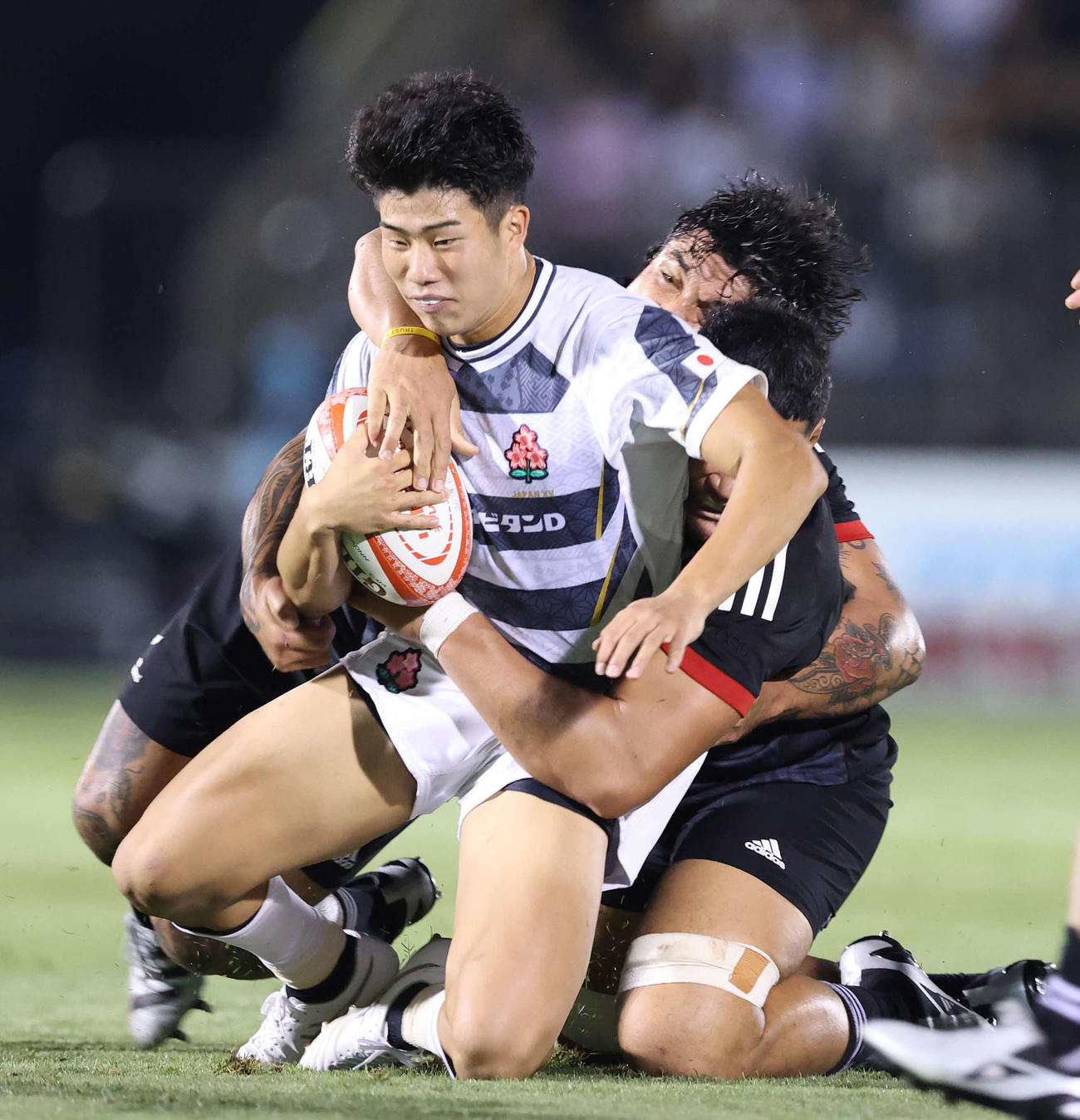 JAPAN XV対マオリ・オールブラックス　後半、激しいタックルを受ける矢崎（撮影・河野匠）