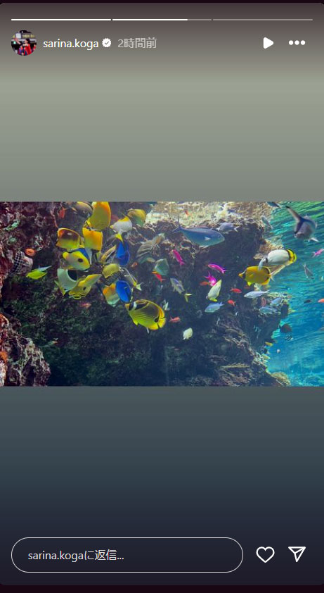 古賀紗理那のインスタグラムから