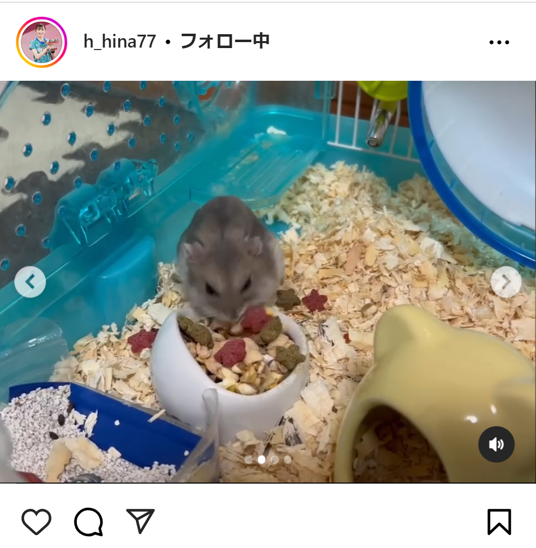 早田ひなのインスタグラムから