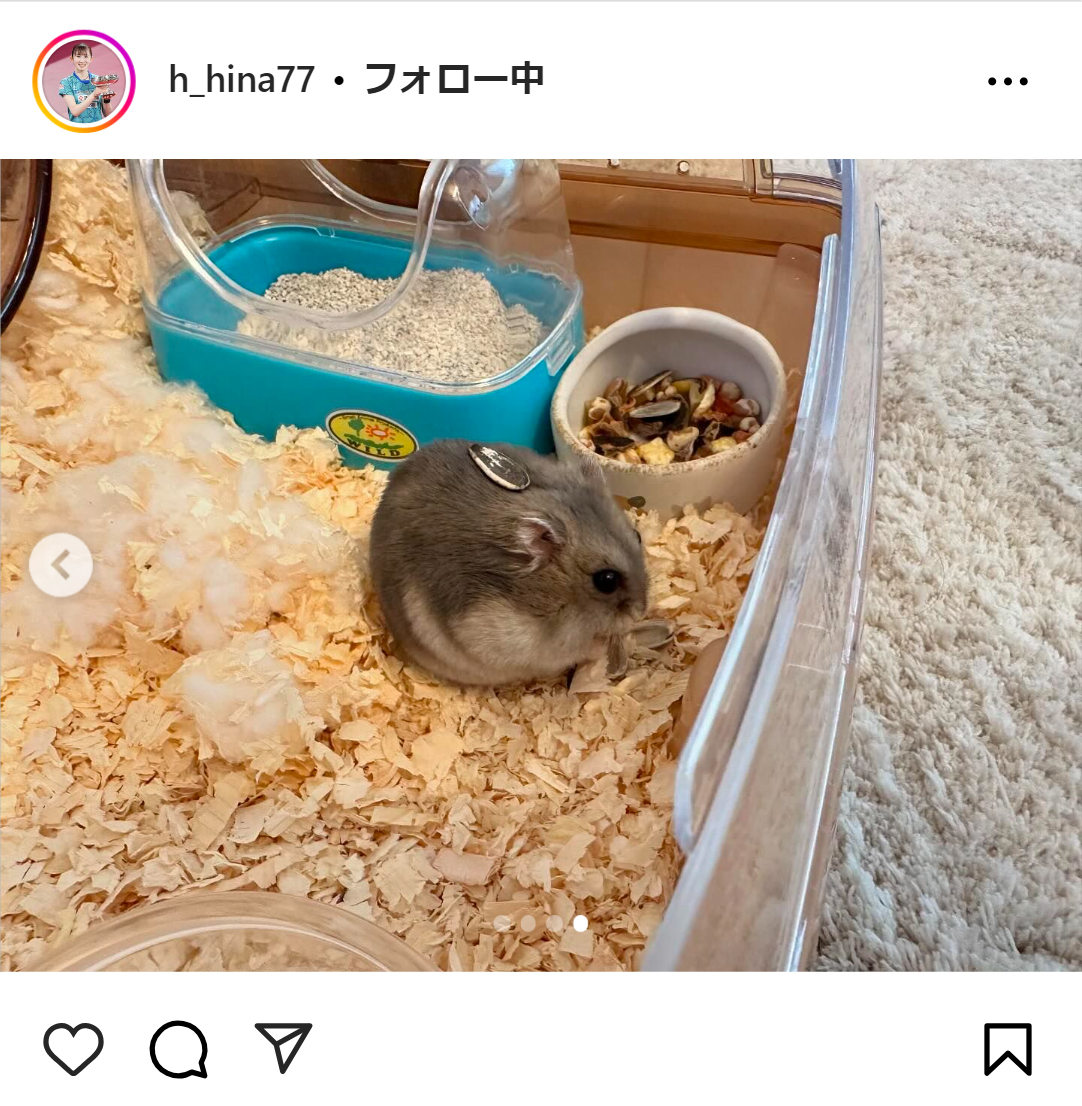 早田ひなのインスタグラムから