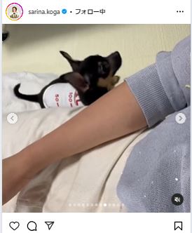 古賀紗理那のインスタグラムから