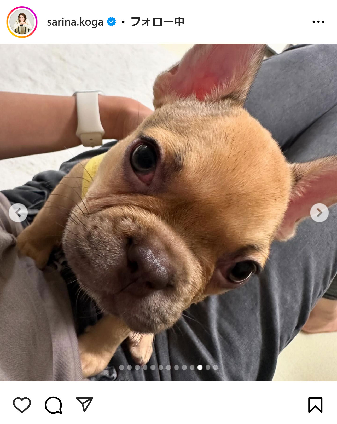 古賀紗理那のインスタグラムから
