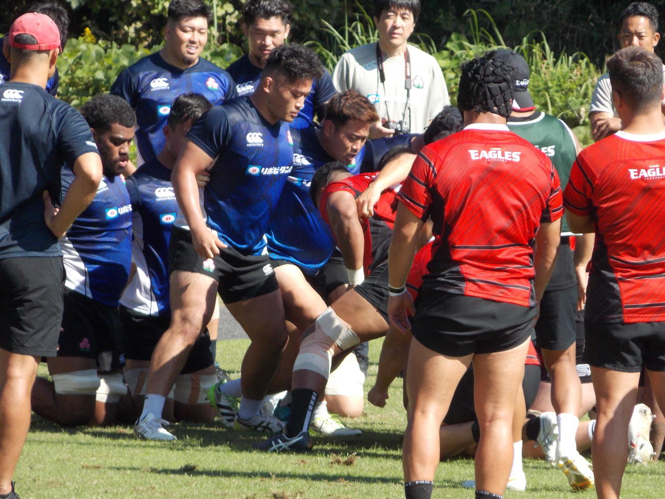 横浜との合同練習でスクラムを組む青の練習着の日本代表FW陣（撮影・松本航）