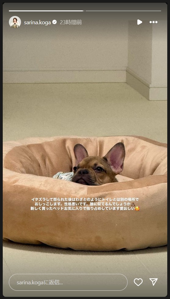 古賀紗理那さんのストーリーズから