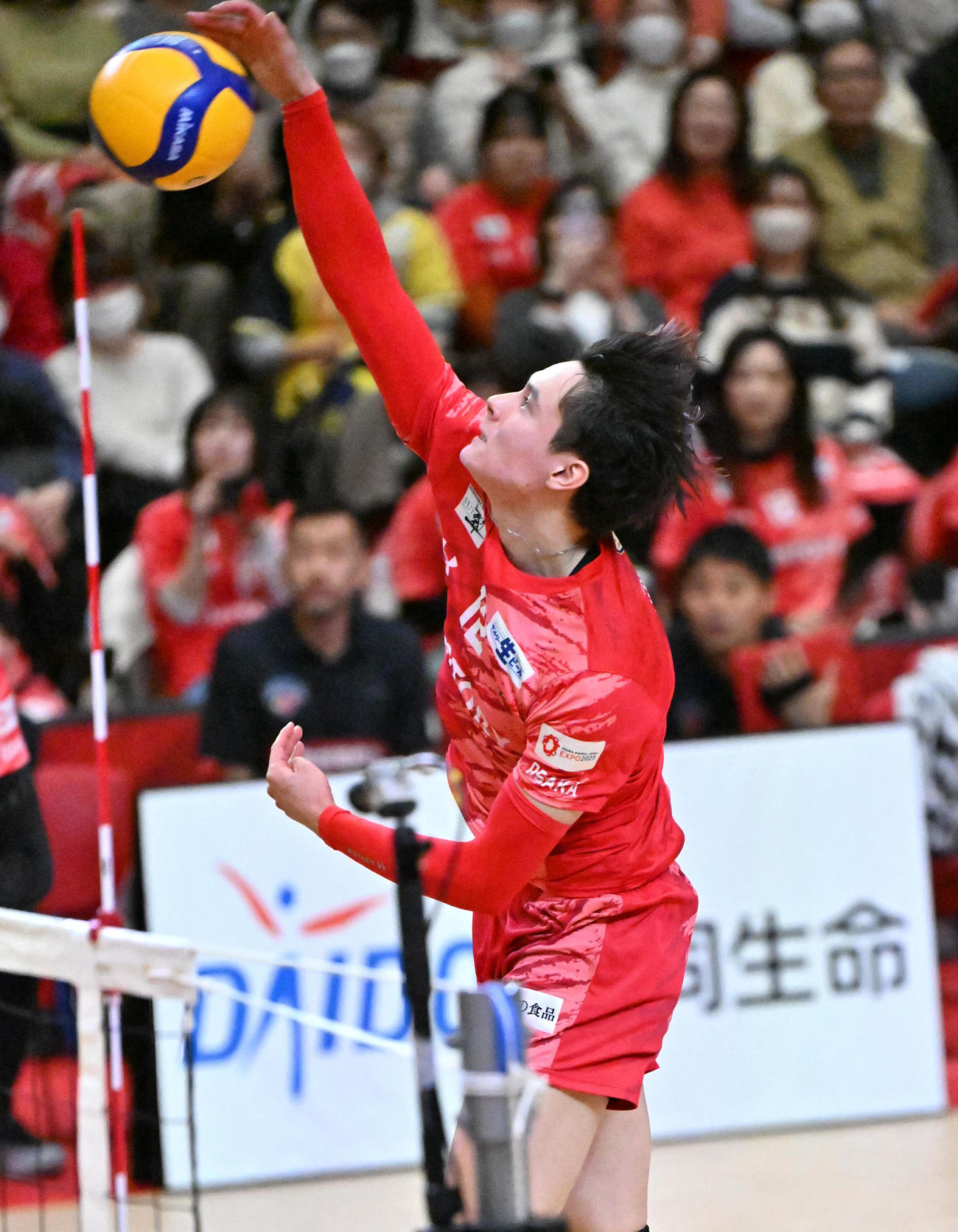 サントリー対日鉄堺　第2セット、スパイクを決めるサントリー高橋藍（撮影・石井愛子）