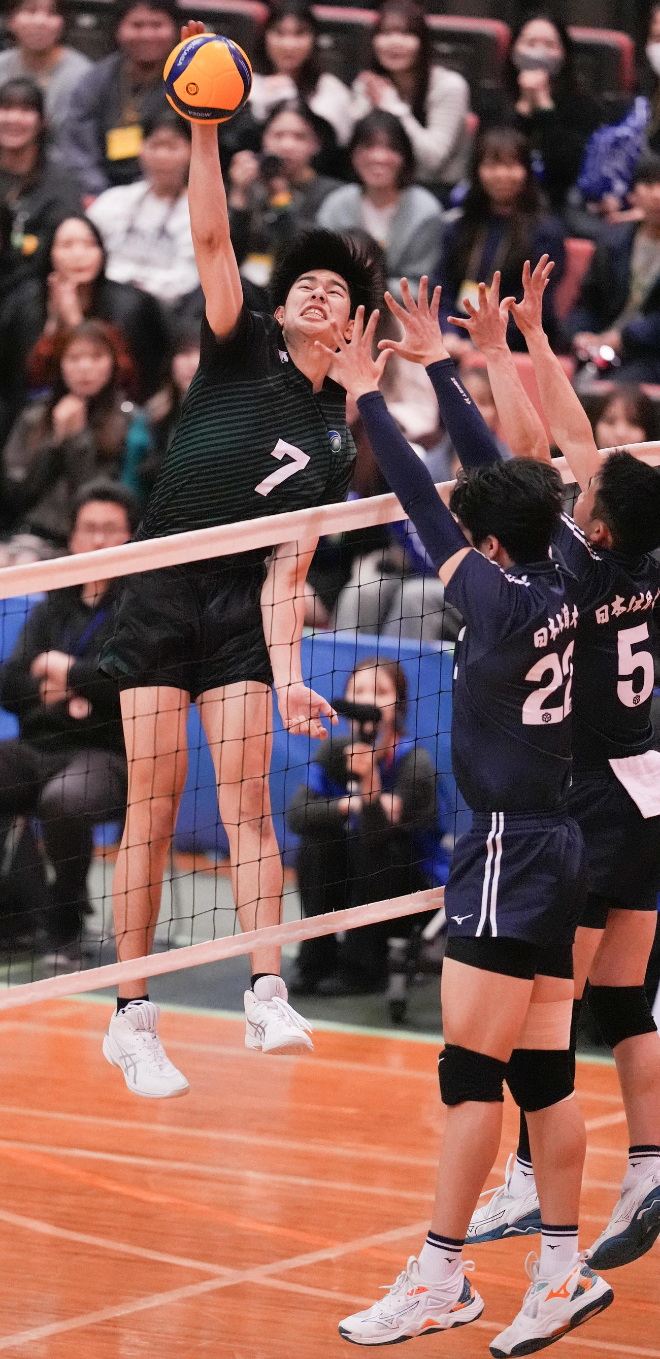 日体大対専大　第1セット、スパイクを決める専大・甲斐（撮影・鈴木みどり）