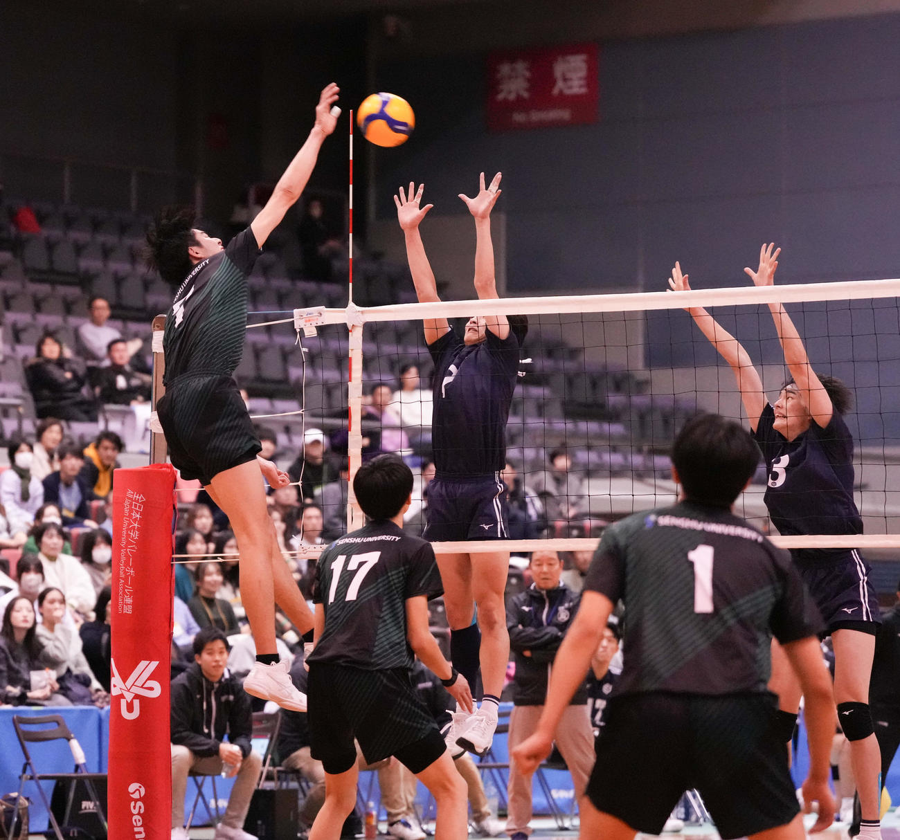 日体大対専大　第4セット、スパイクを決める専大・甲斐（左）（撮影・鈴木みどり）