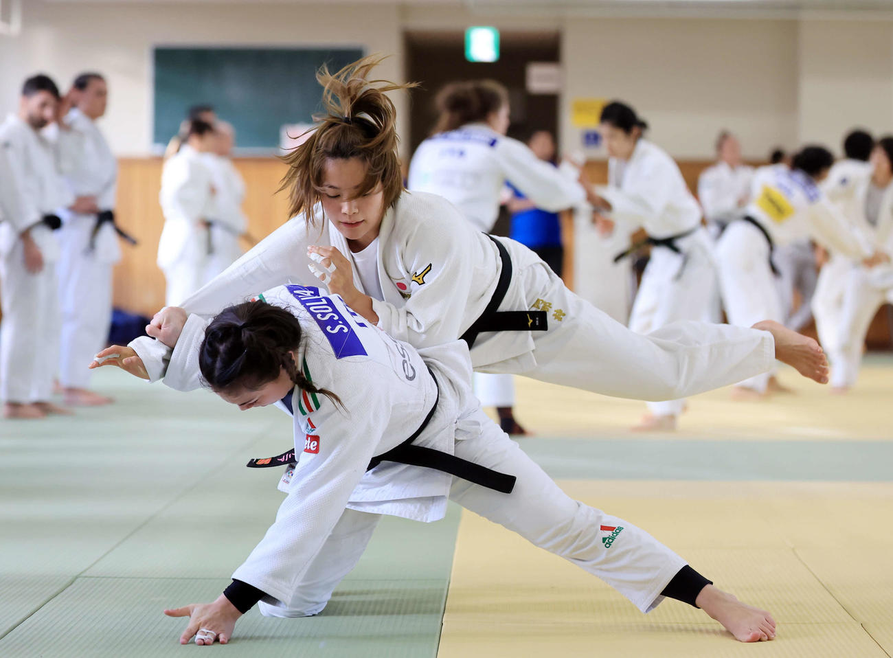 海外の選手たちと乱取りする阿部（撮影・浅見桂子）