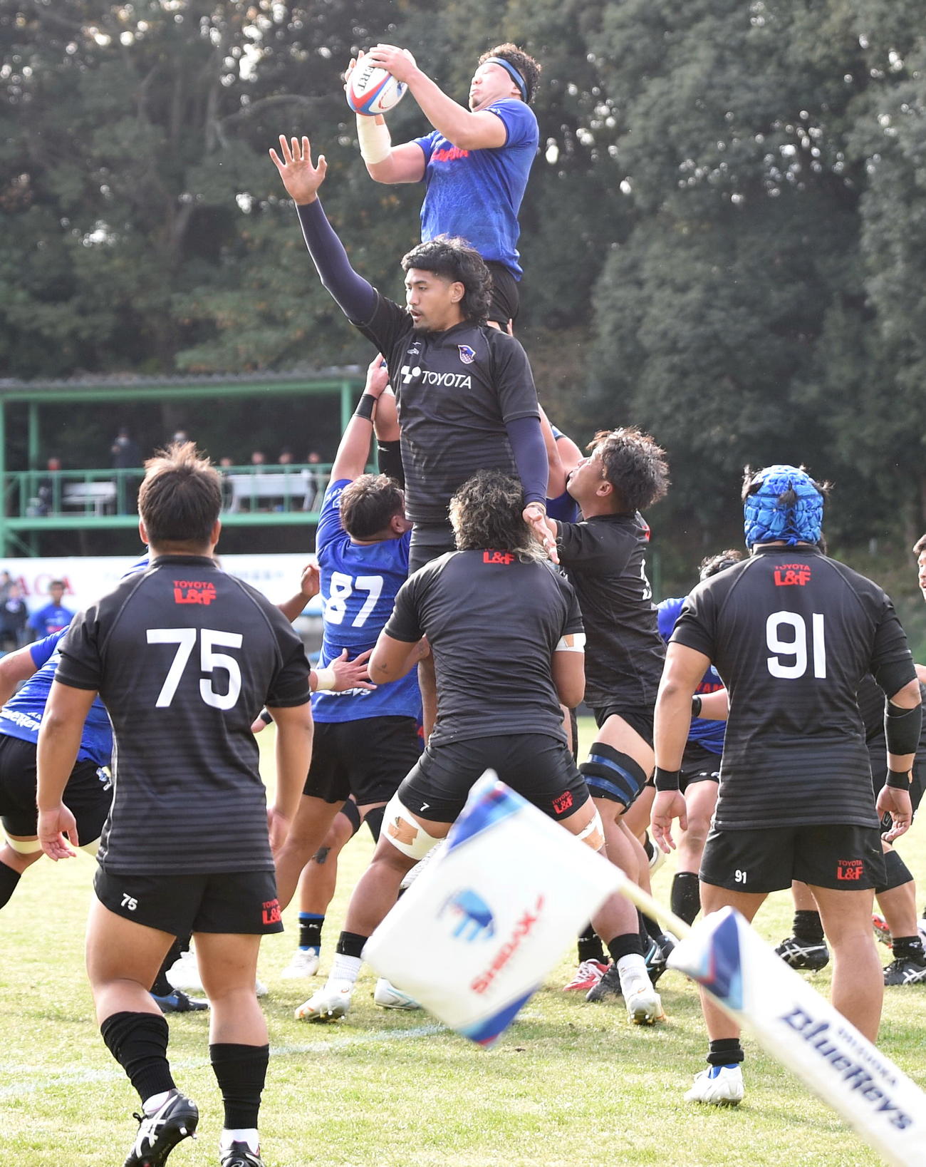 ラインアウトをキャッチする静岡の選手　　　　