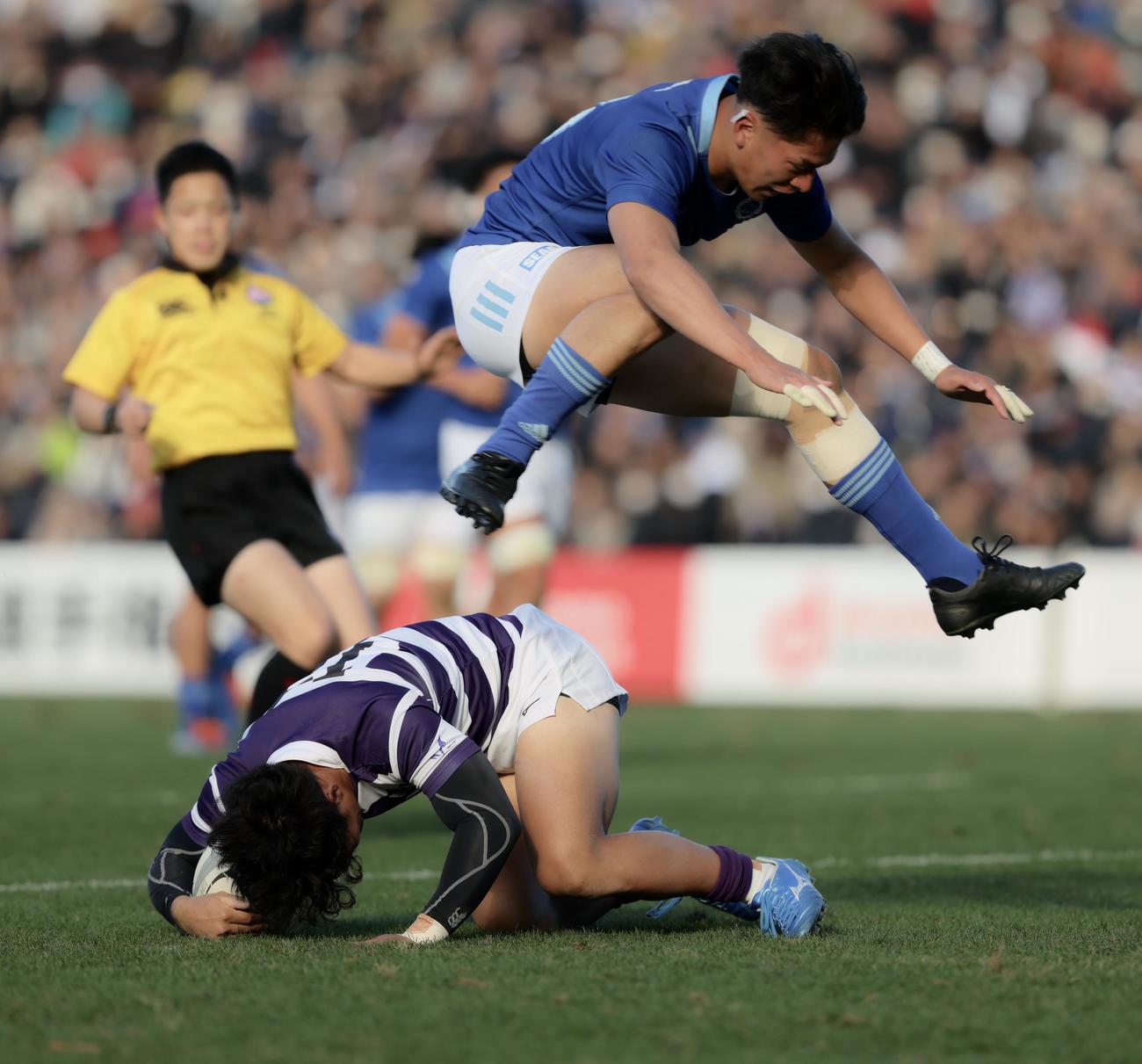 明大対東海大　前半、トライを決める明大・伊藤（下）（撮影・河田真司）