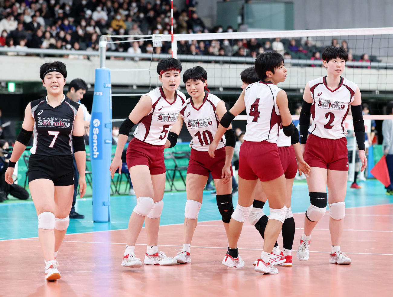 下北沢成徳対金蘭会　決勝進出を決めた下北沢成徳の選手たち（撮影・鈴木正人）