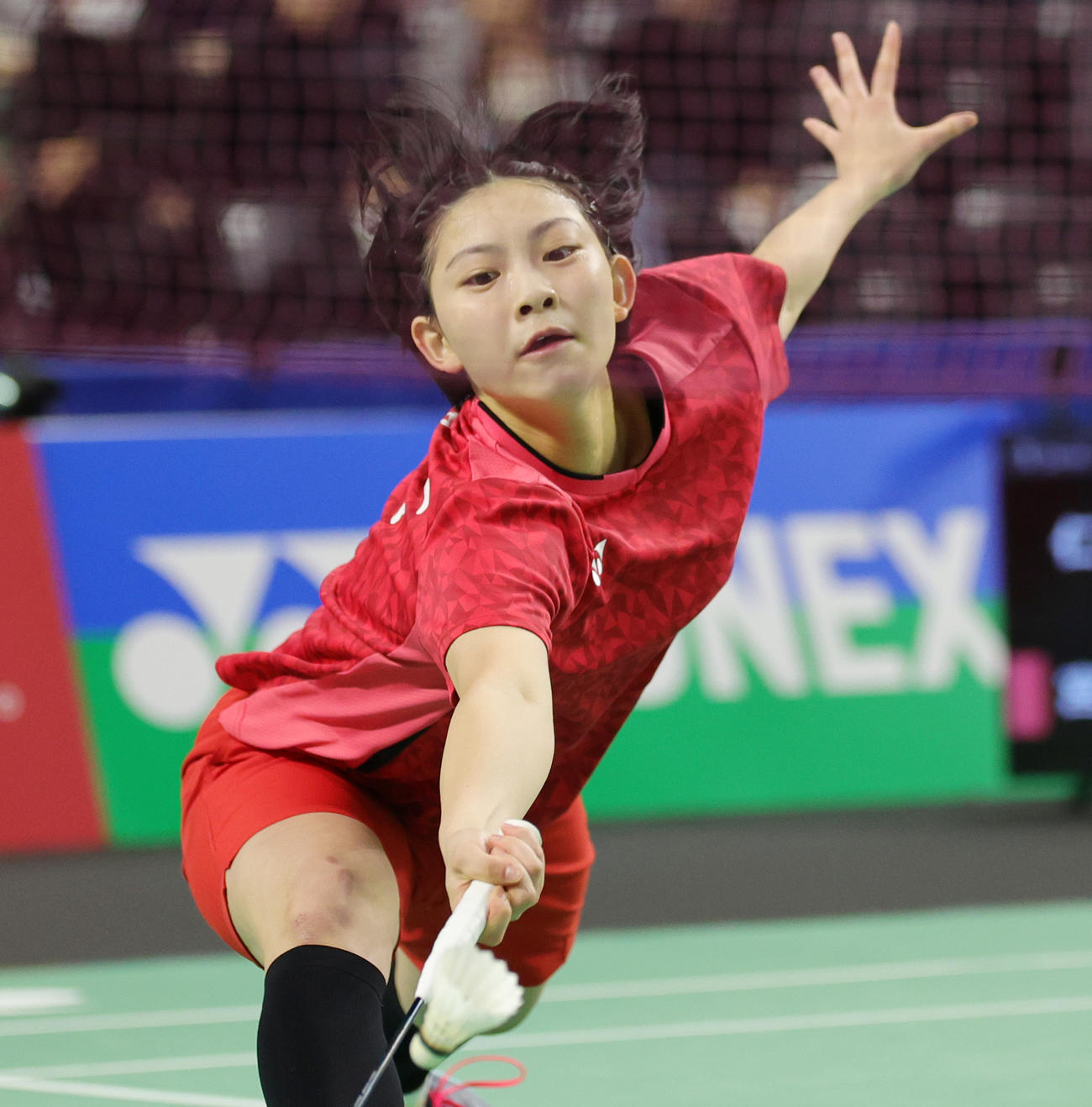 女子シングルス決勝で仁平と戦う宮崎（撮影・野上伸悟）