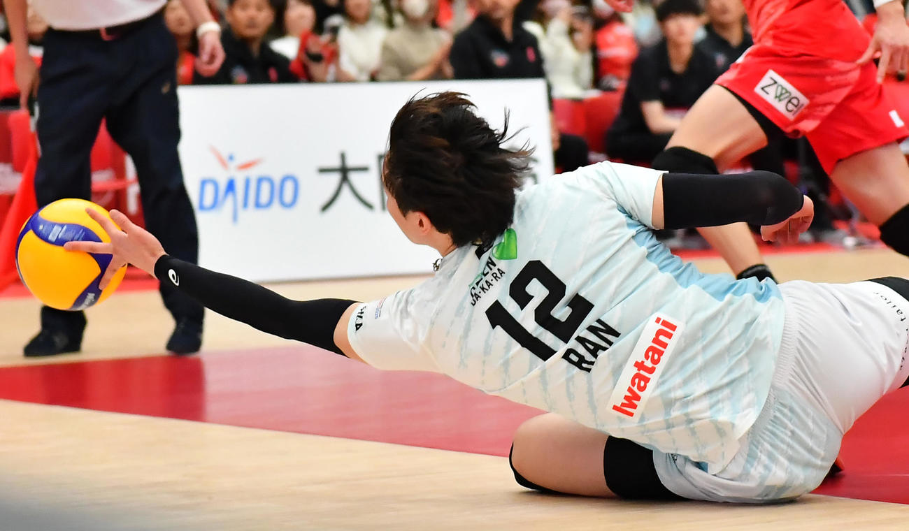 サントリー対名古屋　第1セット、こぼれ球を追うサントリー高橋藍（撮影・清水貴仁）