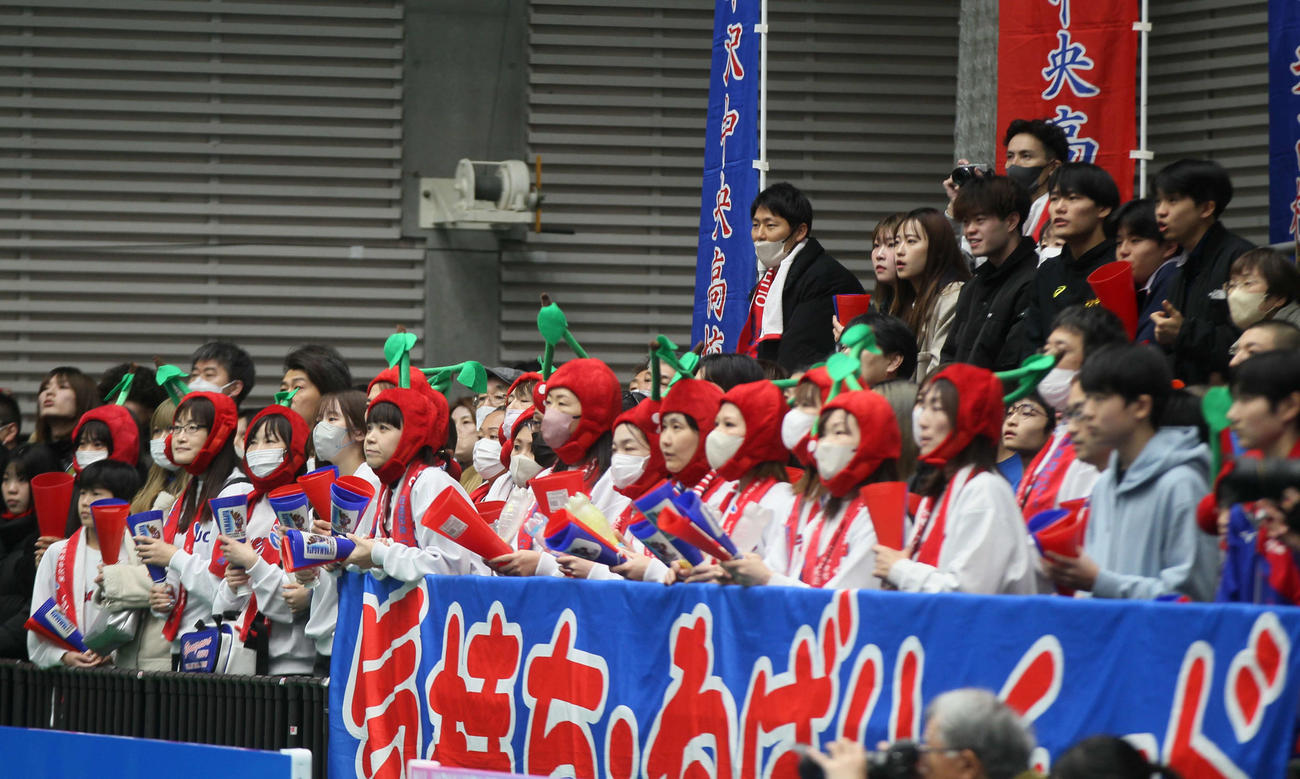 米沢中央対日南学園　さくらんぼのかぶりものをした米沢中央の応援団（撮影・高橋香奈）
