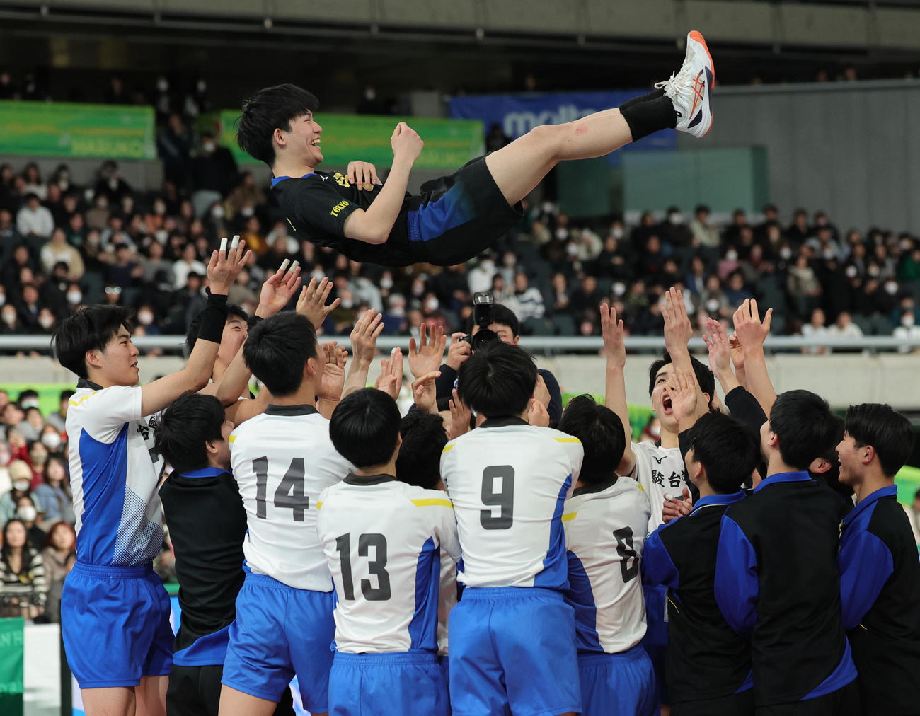 駿台学園対東福岡　優勝し胴上げされる駿台学園・谷本主将（撮影・野上伸悟）