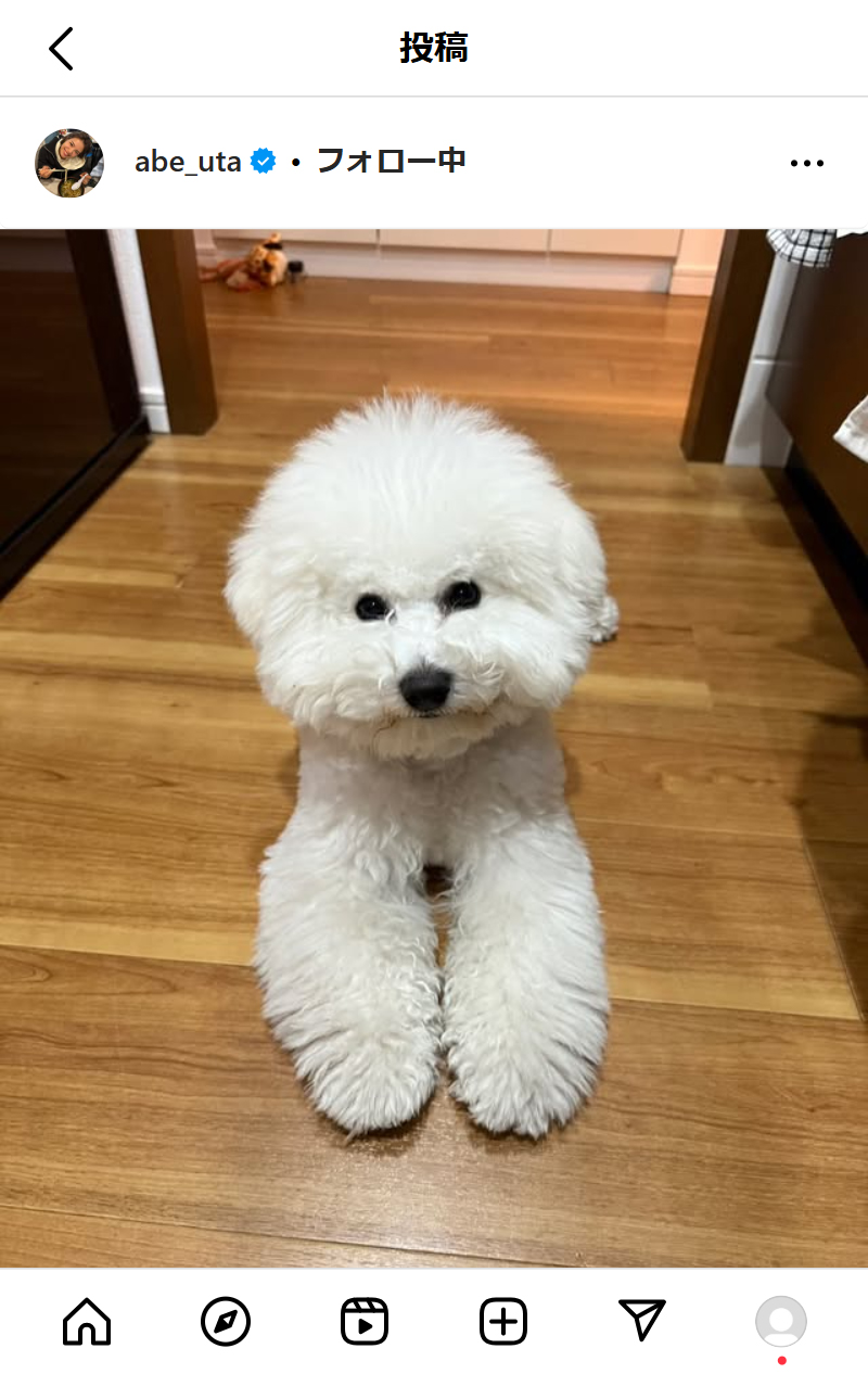 阿部詩のインスタグラムから