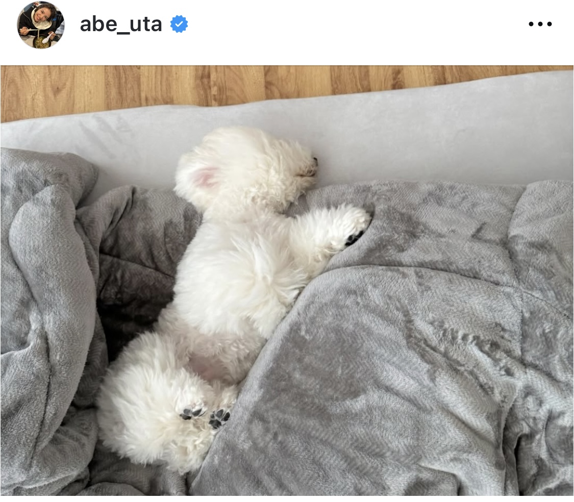 阿部詩のインスタグラムから
