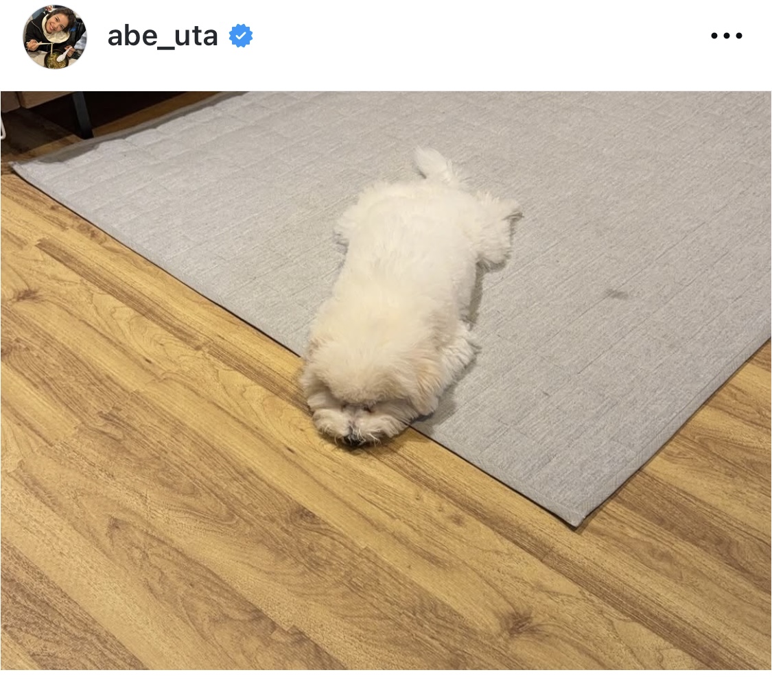 阿部詩のインスタグラムから