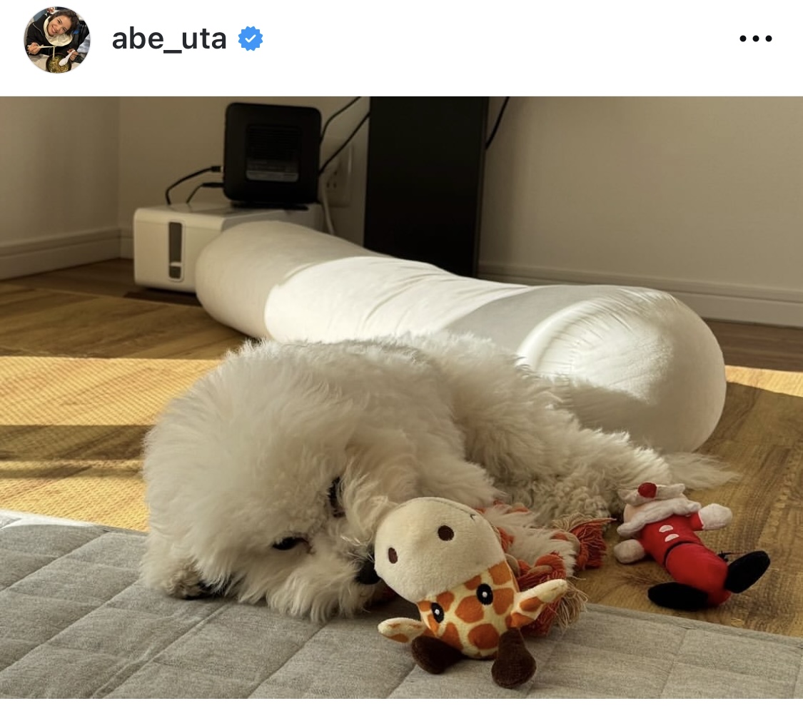 阿部詩のインスタグラムから