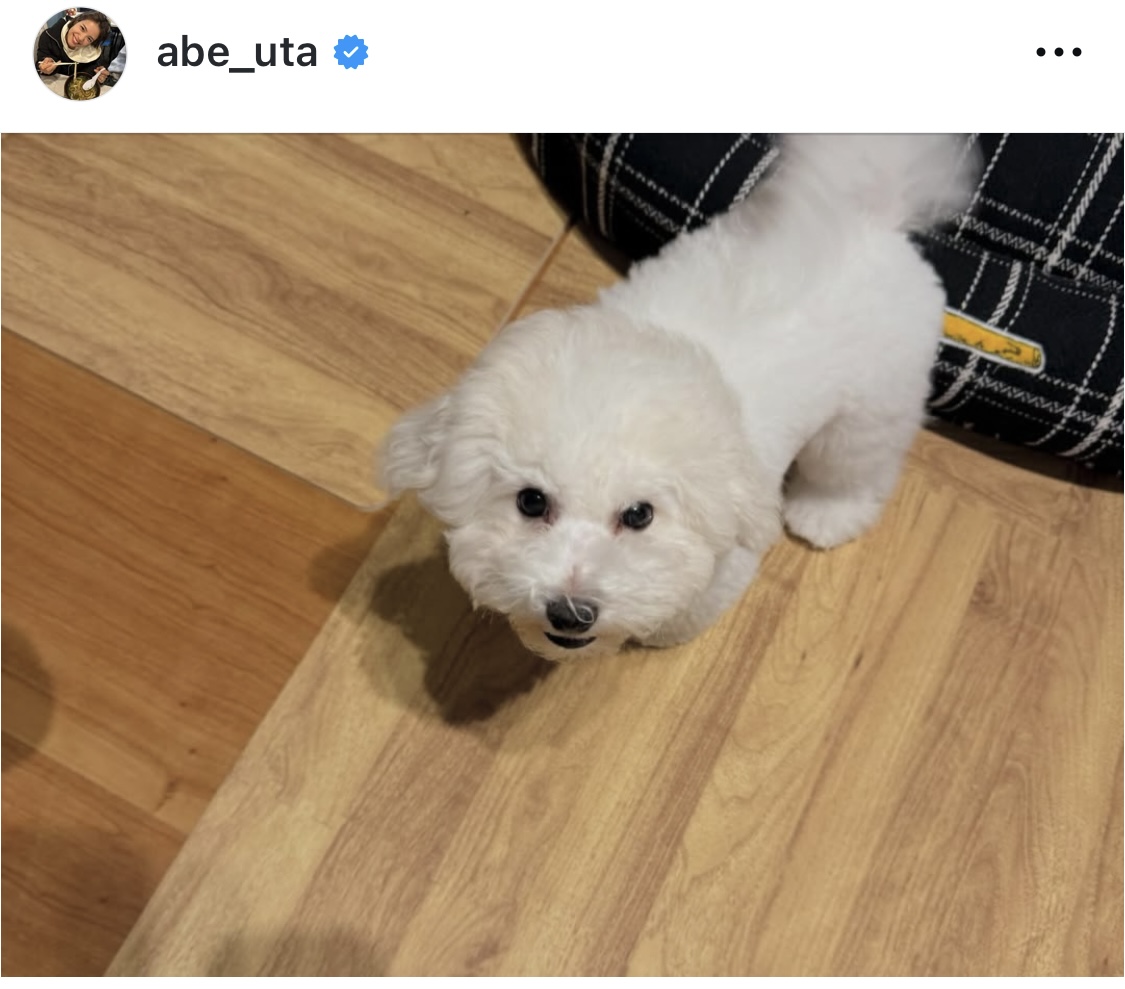 阿部詩のインスタグラムから