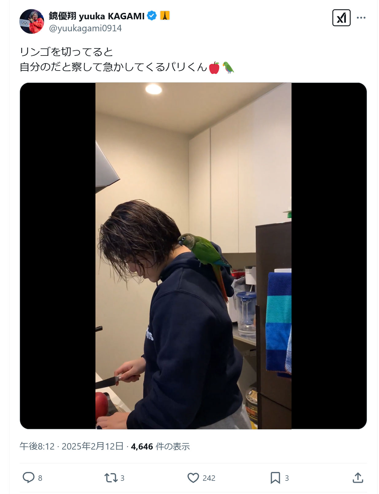 鏡優翔のXから