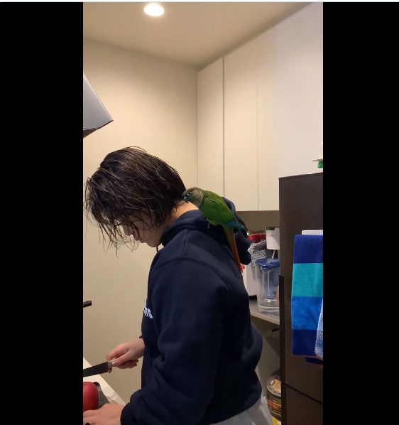 鏡優翔のXから